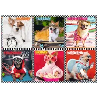 Puzzle Trefl Happy Dogs 7+/ Numărul de piese: 200 photo 3