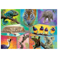 Puzzle Trefl In an Exotic World 7+/ Numărul de piese: 200
