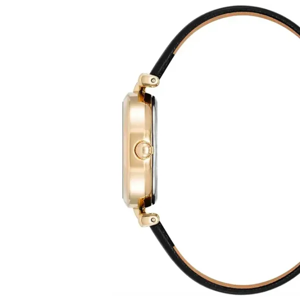 Наручные часы для женщин ANNE KLEIN AK/5154CHBK Кварцевый / 26 мм photo 2