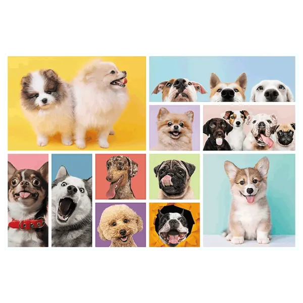 Puzzle Trefl The friendship of puppies 6+/ Numărul de piese: 160 photo 3