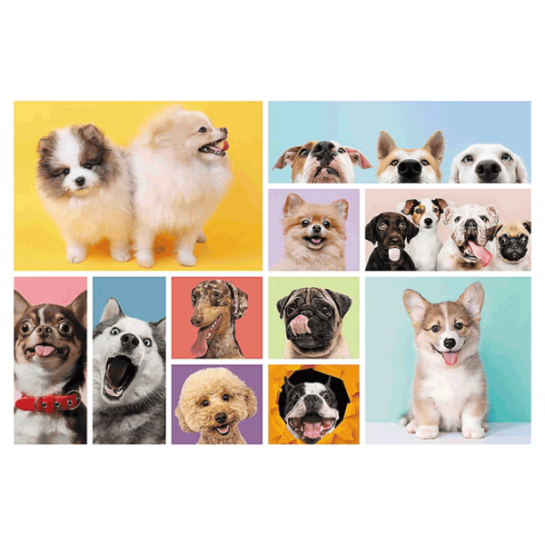 Puzzle Trefl The friendship of puppies 6+/ Numărul de piese: 160 photo 3