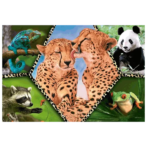Puzzle Trefl Beautiful Nature 5+/ Numărul de piese: 100 photo 1 Puzzle Trefl Beautiful Nature 5+/ Numărul de piese: 100 photo 1