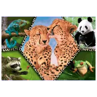 Puzzle Trefl Beautiful Nature 5+/ Numărul de piese: 100