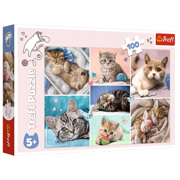 Puzzle Trefl In the world of cats 5+/ Количество деталей: 100 photo 1