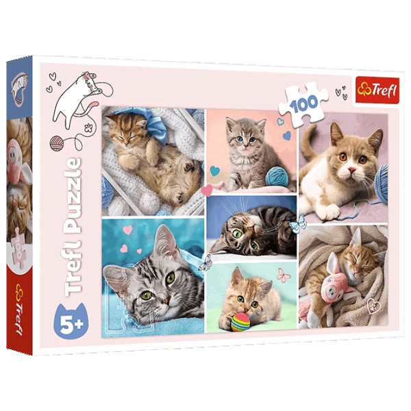 Puzzle Trefl In the world of cats 5+/ Количество деталей: 100 photo 1