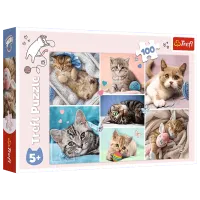 Puzzle Trefl In the world of cats 5+/ Количество деталей: 100