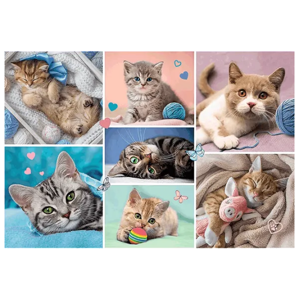 Puzzle Trefl In the world of cats 5+/ Количество деталей: 100 photo 2