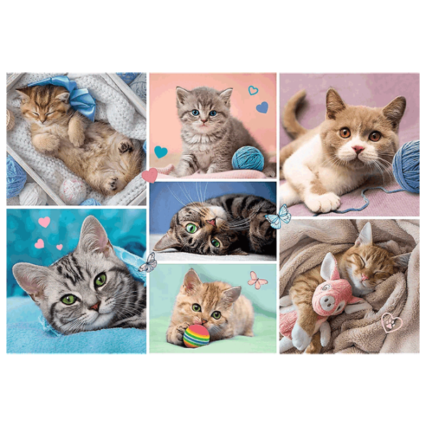 Puzzle Trefl In the world of cats 5+/ Количество деталей: 100 photo 2