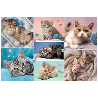 Puzzle Trefl In the world of cats 5+/ Numărul de piese: 100 photo 2