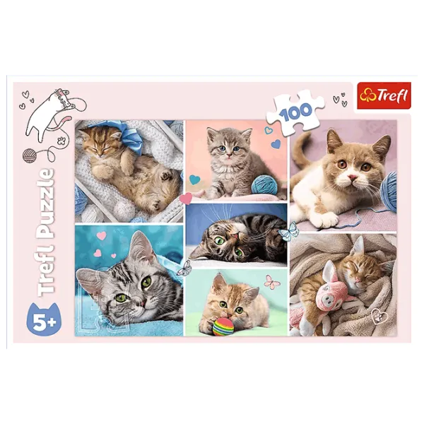 Puzzle Trefl In the world of cats 5+/ Количество деталей: 100 photo 3