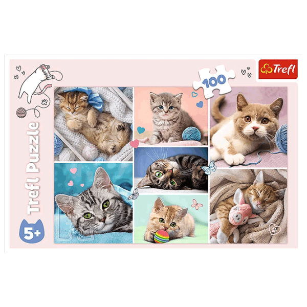 Puzzle Trefl In the world of cats 5+/ Количество деталей: 100 photo 3