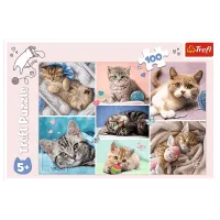 Puzzle Trefl In the world of cats 5+/ Numărul de piese: 100 photo 3
