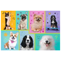 Puzzle Trefl In the world of dogs 5+/ Numărul de piese: 100 photo 2