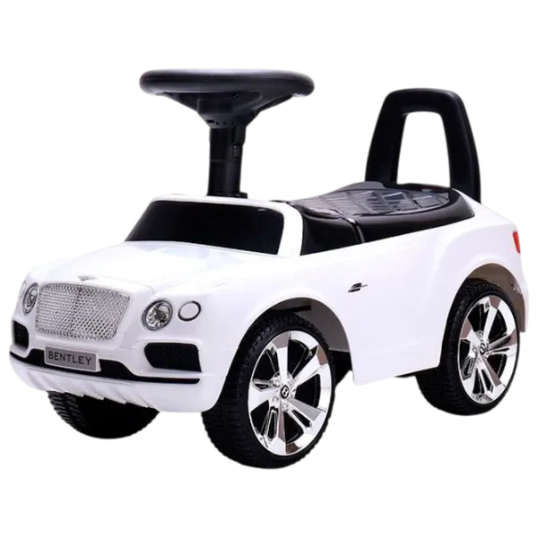 Tolocar Richi Tichi Bentley (65560) 20 kg/ White photo 1