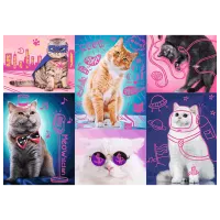 Puzzle Trefl Super Cats 12+/ Numărul de piese: 1000 photo 2