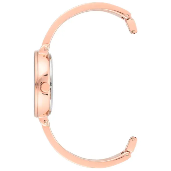 Ceas de mână pentru femei ANNE KLEIN AK/3620WTST Cuarț / 32 mm photo 2 Ceas de mână pentru femei ANNE KLEIN AK/3620WTST Cuarț / 32 mm photo 2