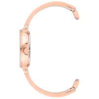 Ceas de mână pentru femei ANNE KLEIN AK/3620WTST Cuarț / 32 mm photo 2