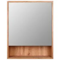 Dulap cu oglindă Aquatoria 102_600 75 x 60 x 16 / Oglindă / Gray