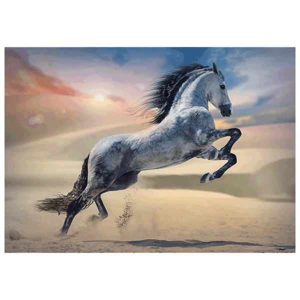 Puzzle Trefl Majestic Horse 12+/ Numărul de piese: 1000 photo 2