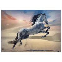 Puzzle Trefl Majestic Horse 12+/ Numărul de piese: 1000 photo 2
