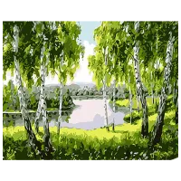Картина по номерам Strateg Березовый рай SS1096 40 x 30 cm / Горизонтальная