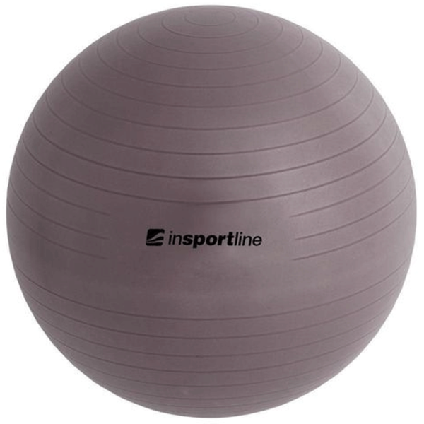 Fitball Insportline 3909 55 cm / Multicolor photo 2 Fitball Insportline 3909 55 cm / Multicolor photo 2