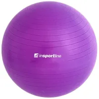 Фитбол Insportline 3909 55 см / Разноцветный photo 4