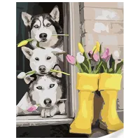 Pictură pe numere Strateg Husky frumoși SS1136 40 x 30 cm / Verticală