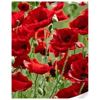 Картина по номерам Strateg Маковое поле SS1084 40 x 30 cm / Вертикальная