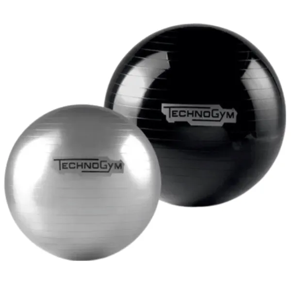 Fitball Technogym Wellness Ball Training 65 cm / Multicolor photo 1