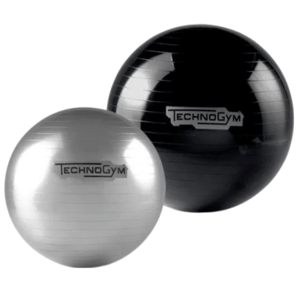 Fitball Technogym Wellness Ball Training 65 cm / Multicolor photo 1