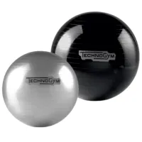Фитбол Technogym Wellness Ball Training 65 см / Разноцветный