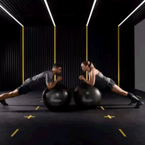 Fitball Technogym Wellness Ball Training 65 cm / Multicolor photo 2