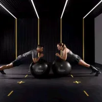 Fitball Technogym Wellness Ball Training 65 cm / Multicolor photo 2