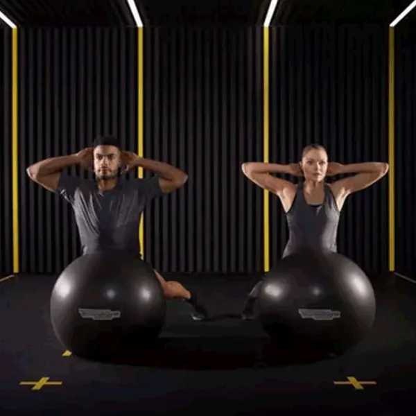 Fitball Technogym Wellness Ball Training 65 cm / Multicolor photo 3