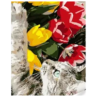 Pictură pe numere Strateg Pisică cu lalele SS1107 40 x 30 cm / Verticală