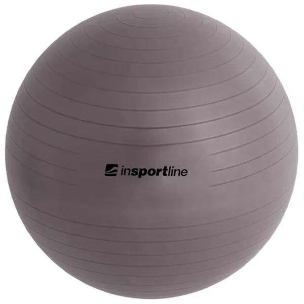 Fitball Insportline 3910 65 cm / Multicolor photo 2