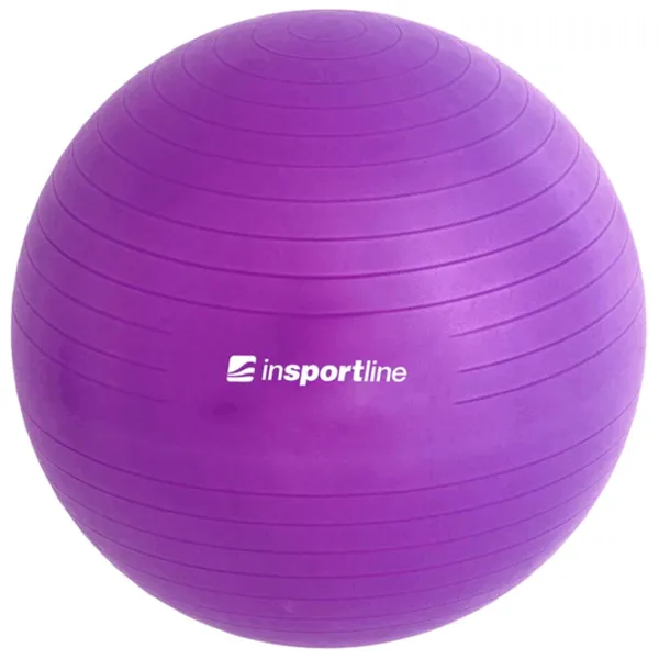 Fitball Insportline 3910 65 cm / Multicolor photo 3