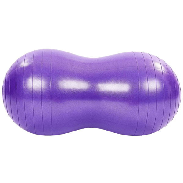 Fitball Insportline Arahis 50 cm / Purple photo 1
