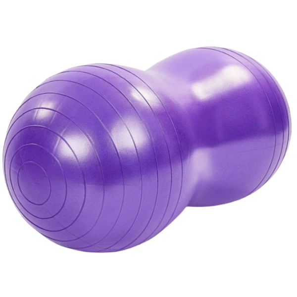Fitball Insportline Arahis 50 cm / Purple photo 2