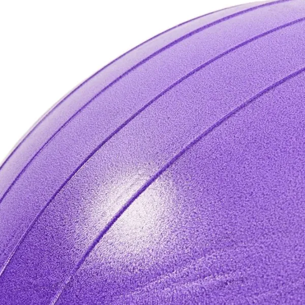 Fitball Insportline Arahis 50 cm / Purple photo 4