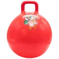 Fitball Miscellaneous 702003 / 702083 55 cm / Multicolor