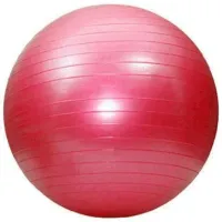 Фитбол Miscellaneous S124-15 65 см / Разноцветный