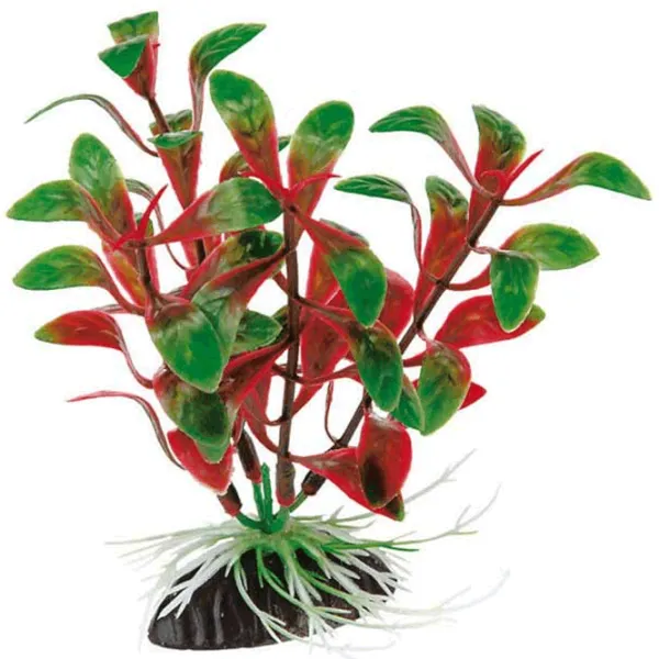Plante Ferplast ROTALA 4 Cantitatea în set - 1 photo 1 Plante Ferplast ROTALA 4 Cantitatea în set - 1 photo 1