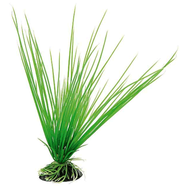 Plante Ferplast ACORUS 8 Cantitatea în set - 1 photo 1 Plante Ferplast ACORUS 8 Cantitatea în set - 1 photo 1