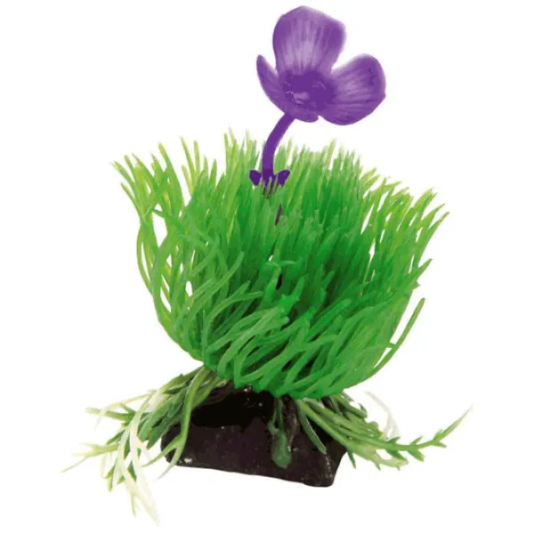 Plante Ferplast ACORUS 4 Cantitatea în set - 1 photo 1 Plante Ferplast ACORUS 4 Cantitatea în set - 1 photo 1