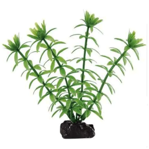 Plante Ferplast EGERIA 4 Cantitatea în set - 1 photo 1 Plante Ferplast EGERIA 4 Cantitatea în set - 1 photo 1