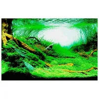 Fundal foto Ferplast BLU 9049 Cantitatea în set - 1