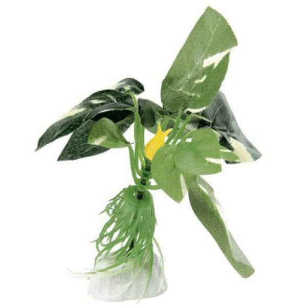 Растения Ferplast SILK AUBIAS 4 Количество в наборе - 1 photo 1 Растения Ferplast SILK AUBIAS 4 Количество в наборе - 1 photo 1