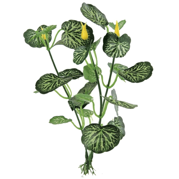 Plante Ferplast SILK CARDAMIN Cantitatea în set - 1 photo 1 Plante Ferplast SILK CARDAMIN Cantitatea în set - 1 photo 1